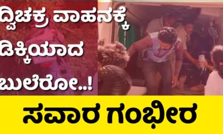 ದ್ವಿಚಕ್ರ ವಾಹನಕ್ಕೆ ಬೊಲೆರೋ ಗೂಡ್ಸ್ ವಾಹನ ಡಿಕ್ಕಿ : ಸವಾರ ಗಂಭೀರ