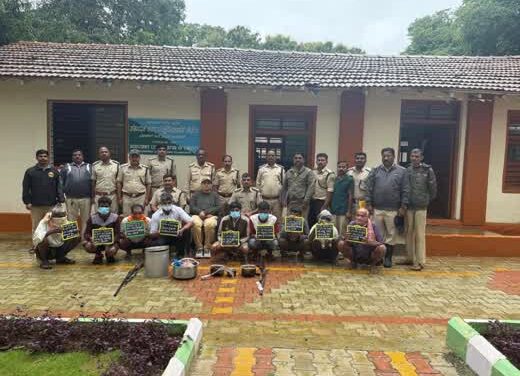 ಲೋಂಡಾ ಅರಣ್ಯದಲ್ಲಿ ಕಡವೆ ಬೇಟೆ – 9 ಜನ ಆರೋಪಿಗಳು ಬಂಧನ
