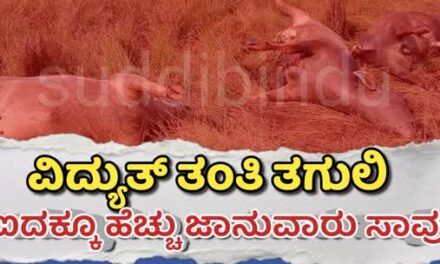 Karwar/ವಿದ್ಯುತ್ ತಂತಿ ತಗುಲಿ ಐದಕ್ಕೂ ಹೆಚ್ಚು ಜಾನುವಾರು ಸಾವು