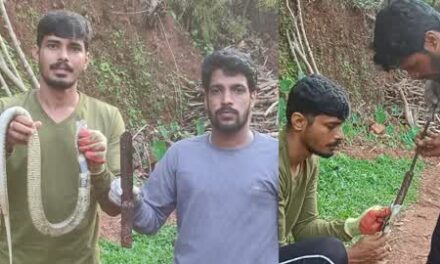 1ಅಡಿ 2 ಇಂಚು ಉದ್ದದ ಚಾಕು ನುಂಗಿದ ನಾಗರಹಾವನ್ನು ರಕ್ಷಿಸಿದ ಸ್ನೇಕ್ ಪವನ್