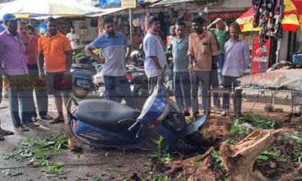 ಕಾರವಾರದಲ್ಲಿ ಚಲಿಸುತ್ತಿದ್ದ ಸ್ಕೂಟಿ ಮೇಲೆ ಮರದ ರೆಂಬೆ ಬಿದ್ದು ಬಾಲಕಿಗೆ ಗಾಯ
