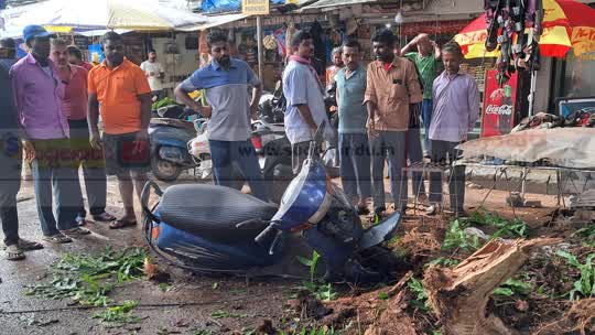 ಕಾರವಾರದಲ್ಲಿ ಚಲಿಸುತ್ತಿದ್ದ ಸ್ಕೂಟಿ ಮೇಲೆ ಮರದ ರೆಂಬೆ ಬಿದ್ದು ಬಾಲಕಿಗೆ ಗಾಯ