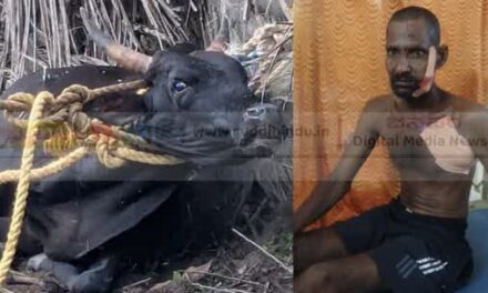 ರೇಬೀಸ್ ಹೋರಿಯಿಂದ ರಂಪಾಟ: ವ್ಯಕ್ತಿಗೆ ತಿವಿತ