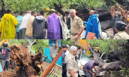 Karwar/ ಕಾರ ಮೇಲೆ ಮರ ಬಿದ್ದು ಮಹಿಳೆ ಸಾವು : ಗರ್ಭಿಣಿ ಸೊಸೆಗೆ ಆಸ್ಪತ್ರೆಗೆ ಕರೆತಂದಿದ್ದ ಅತ್ತೆ