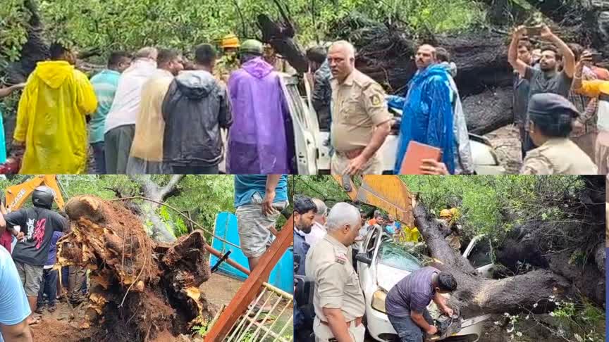 Karwar/ ಕಾರ ಮೇಲೆ ಮರ ಬಿದ್ದು ಮಹಿಳೆ ಸಾವು : ಗರ್ಭಿಣಿ ಸೊಸೆಗೆ ಆಸ್ಪತ್ರೆಗೆ ಕರೆತಂದಿದ್ದ ಅತ್ತೆ