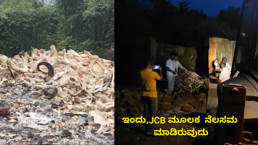 Bhatkal/ಭಟ್ಕಳ ರಾಶಿ ರಾಶಿ ಮೂಳೆ ಪತ್ತೆ ಪ್ರಕರಣ‌ : ಸುದ್ದಿ‌ ಪ್ರಸಾರವಾಗುತಿದ್ದಂತೆ ಎಚ್ಚೆತ್ತ ಅಧಿಕಾರಿಗಳು