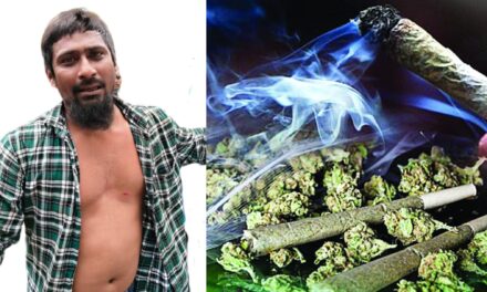Bhatkal News/ಭಟ್ಕಳದಲ್ಲಿ ಗಾಂಜಾ ನಶೆ ಕಿಕ್ ಕೊಟ್ಟ ಯುವಕನಿಗೆ ಪೊಲೀಸರ ಶಾಕ್..!