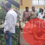 ಯಲ್ಲಾಪುರದಲ್ಲಿ ಮರ ಬಿದ್ದು ಗರ್ಭಿಣಿ ಮಹಿಳೆ ಸಾವು, ಮೂವರು ಮಕ್ಕಳು ಗಂಭೀರ