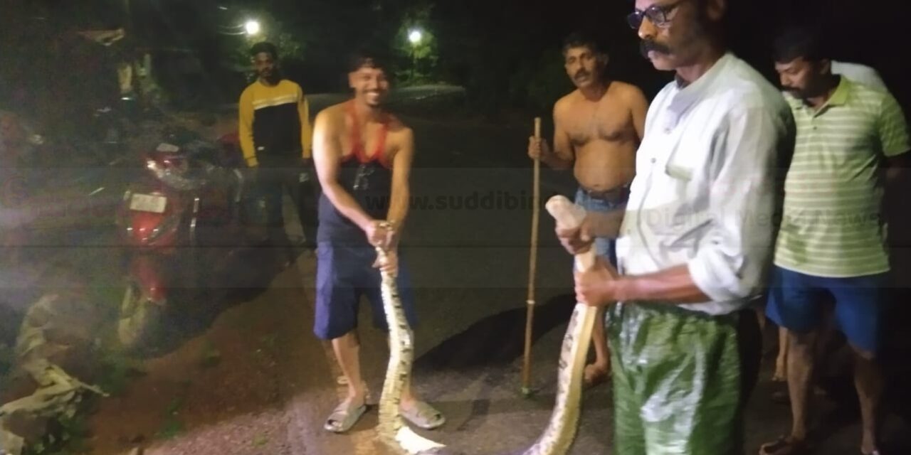 ಮನೆಯ ಬಳಿ ಬಂದಿದ್ದ ಭಾರೀ ಗಾತ್ರದ ಹೆಬ್ಬಾವು ರಕ್ಷಣೆ