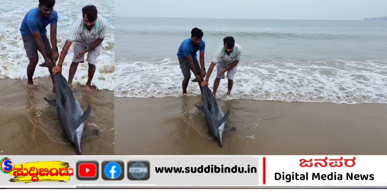 ಗೋಕರ್ಣದ ಸಮುದ್ರ ತೀರದಲ್ಲಿ ಯುವಕರಿಂದ ಡಾಲ್ಫಿನ ರಕ್ಷಣೆ