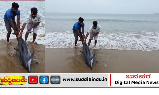 ಗೋಕರ್ಣದ ಸಮುದ್ರ ತೀರದಲ್ಲಿ ಯುವಕರಿಂದ ಡಾಲ್ಫಿನ ರಕ್ಷಣೆ