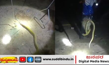 ಬಲೆಗೆ ಸಿಲುಕಿದ್ದ ನಾಗರ ಹಾವು ರಕ್ಷಣೆ