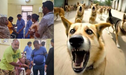 ದಾಂಡೇಲಿಯಲ್ಲಿ ಬಿದಿ ನಾಯಿಗಳ ಹಾವಳಿ: ನಾಲ್ಕು ದಿನದಲ್ಲಿ 10ಕ್ಕೂ ಹೆಚ್ಚು ಜನರ ಮೇಲೆ ದಾಳಿ