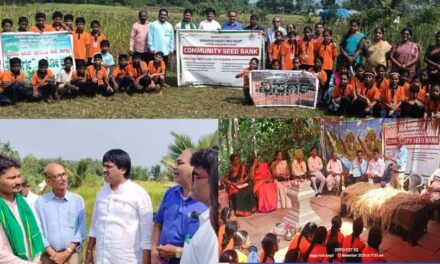 ವಿಶಿಷ್ಟ ಭತ್ತ ತಳಿಗಳ ಕ್ಷೇತ್ರ ವೀಕ್ಷಣೆ, ಪೈರು ಕಟಾವು ಕಾರ್ಯ