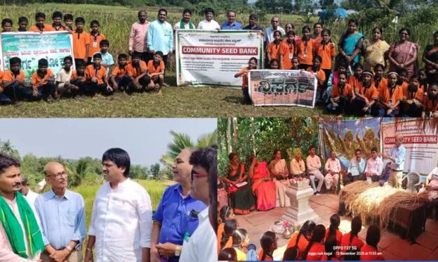 ವಿಶಿಷ್ಟ ಭತ್ತ ತಳಿಗಳ ಕ್ಷೇತ್ರ ವೀಕ್ಷಣೆ, ಪೈರು ಕಟಾವು ಕಾರ್ಯ