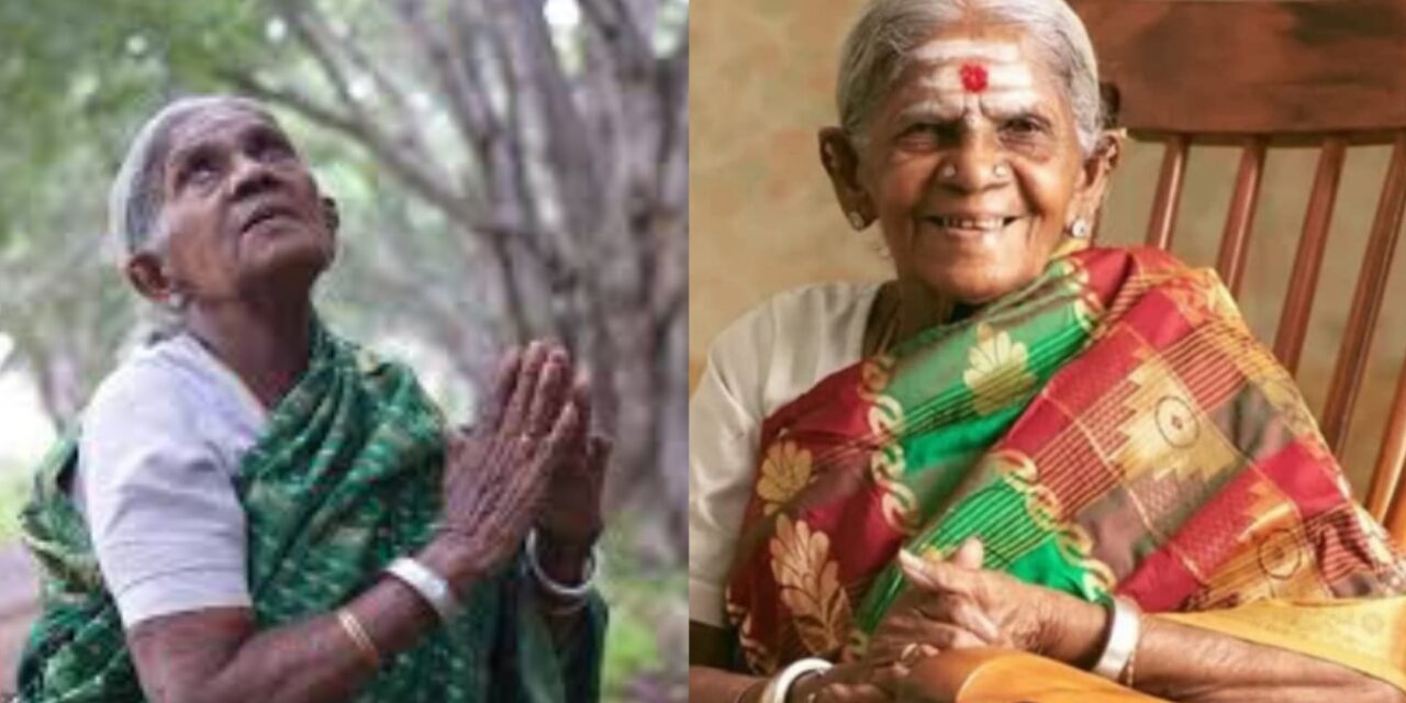 ಇಹಲೋಕ ತ್ಯಜಿಸಿದ ಪ್ರಕೃತಿ ತಾಯಿ ಸಾಲುಮರದ ತಿಮ್ಮಕ್ಕ