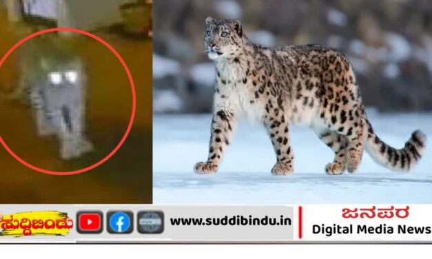 ಶಾಸಕರ ಮನೆ ಆವರಣಕ್ಕೆ ನುಗ್ಗಿದ ಚಿರತೆ : ನಾಯಿಮರಿ ಬಲಿ