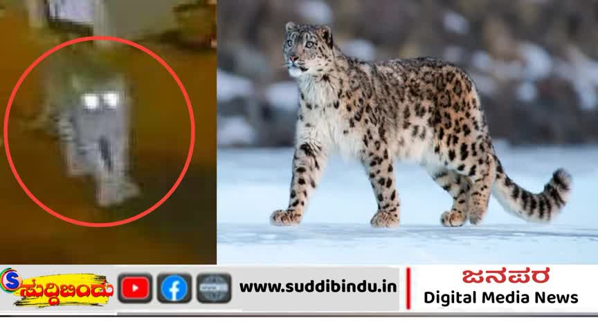 ಶಾಸಕರ ಮನೆ ಆವರಣಕ್ಕೆ ನುಗ್ಗಿದ ಚಿರತೆ : ನಾಯಿಮರಿ ಬಲಿ