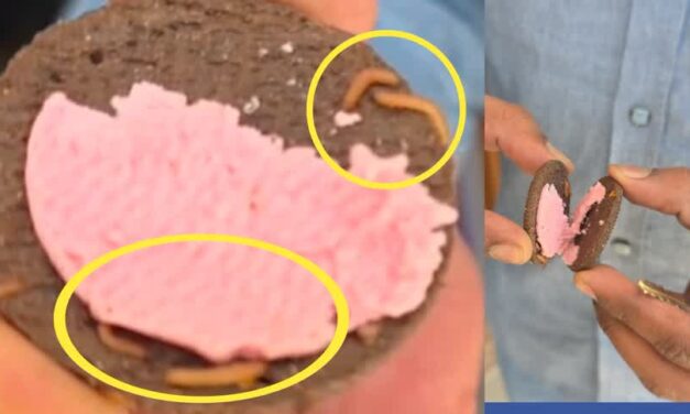 ಟಿಫಿನ್ ಬಾಕ್ಸ್‌ನಲ್ಲಿದ್ದ ಕ್ರೀಮ್ ಬಿಸ್ಕೆಟ್‌ನಲ್ಲಿ ಜೀವಂತ ಹುಳು ಪತ್ತೆ :ದಾಂಡೇಲಿಯಲ್ಲಿ ಘಟನೆ