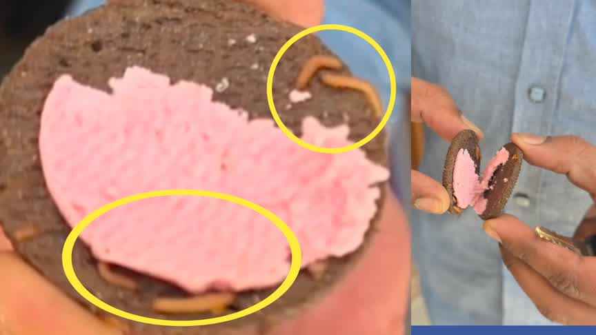 ಟಿಫಿನ್ ಬಾಕ್ಸ್‌ನಲ್ಲಿದ್ದ ಕ್ರೀಮ್ ಬಿಸ್ಕೆಟ್‌ನಲ್ಲಿ ಜೀವಂತ ಹುಳು ಪತ್ತೆ :ದಾಂಡೇಲಿಯಲ್ಲಿ ಘಟನೆ