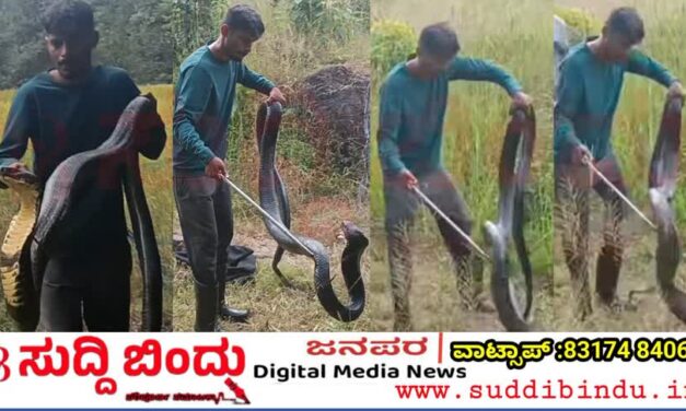 ದೈತ್ಯ ಕಾಳಿಂಗವನ್ನು ರಕ್ಷಿಸಿದ ಉರಗ ತಜ್ಞ ಪವನ್ ನಾಯ್ಕ