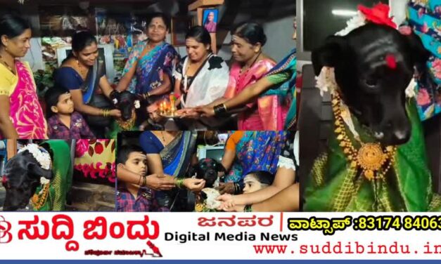 ಗರ್ಭಿಣಿ ಶ್ವಾನಕ್ಕೆ ಸಂಪ್ರದಾಯದ ಸೀಮಂತ : ಶಿಗ್ಲಿ ಮನೆಯ ವಿಶೇಷ ಪ್ರೀತಿ
