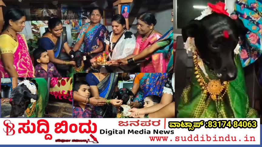 ಗರ್ಭಿಣಿ ಶ್ವಾನಕ್ಕೆ ಸಂಪ್ರದಾಯದ ಸೀಮಂತ : ಶಿಗ್ಲಿ ಮನೆಯ ವಿಶೇಷ ಪ್ರೀತಿ