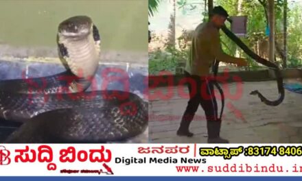 ಕಾಲ ಬಳಿ ಹೆಡೆ ಎತ್ತಿದ ಕಿಂಗ್ ಕೋಬ್ರಾ! ಕ್ಷಣಾರ್ಧದಲ್ಲಿ  ಬುದ್ಧಿವಂತಿಕೆಯಿಂದ ಪತ್ನಿಯನ್ನ ಉಳಿಸಿದ ಪತಿ : ಮಿರ್ಜಾನದಲ್ಲೊಂದು ಅಚ್ಚರಿಯ ಘಟನೆ