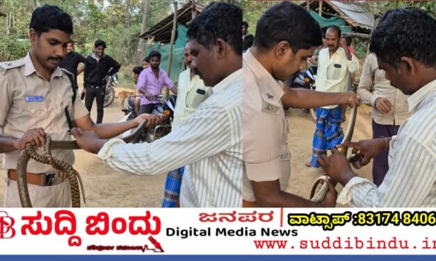 ಮನೆಯೊಳಗಿದ್ದ ಭಾರೀ ಗಾತ್ರದ ಹಾವು ರಕ್ಷಣೆ   ಸುದ್ದಿಬಿಂದು ಬ್ಯೂರೋ ವರದಿ