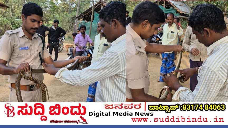 ಮನೆಯೊಳಗಿದ್ದ ಭಾರೀ ಗಾತ್ರದ ಹಾವು ರಕ್ಷಣೆ   ಸುದ್ದಿಬಿಂದು ಬ್ಯೂರೋ ವರದಿ