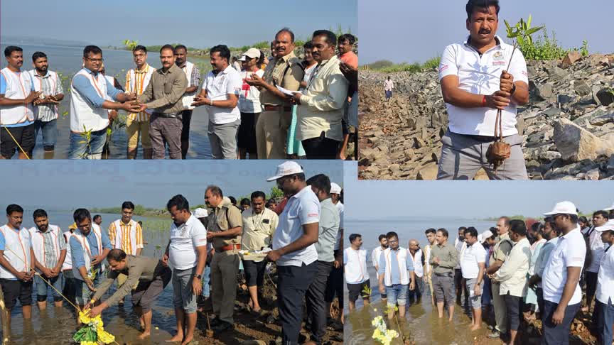 ಕಾಂಡ್ಲಾ ವನಗಳು ಸಾಗರ ತೀರಗಳ ರಕ್ಷಾ ಕವಚ: ಎ.ಸಿ.ಎಫ್ ಕೃಷ್ಣೇ ಗೌಡ