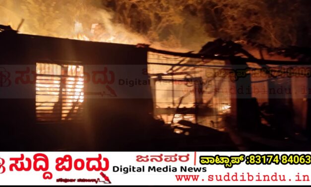 ಗೋಕರ್ಣದಲ್ಲಿ ಕಟ್ಟಿಗೆ ಮಿಲ್ಲಿಗೆ ಬೆಂಕಿ: ಲಕ್ಷಾಂತರ ಮೌಲ್ಯದ ಕಟ್ಟಿಗೆ ಭಸ್ಮ