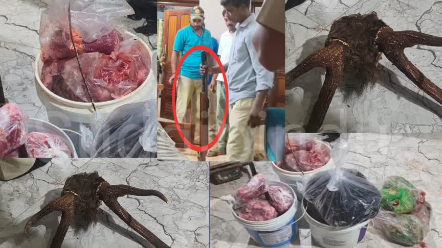 Bhatkal Crime News/ ಭಟ್ಕಳದಲ್ಲಿ ಕಾಡುಪ್ರಾಣಿ ಹತ್ಯೆ ಶಂಕೆ: 21 ಕೆಜಿ ಮಾಂಸ, ಜಿಂಕೆ ಕೊಬ್ಬು, ಎರಡು ಏರ್‌ಗನ್‌ ವಶಕ್ಕೆ