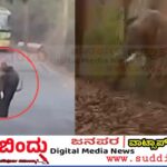 ಹಳಿಯಾಳ–ಯಲ್ಲಾಪುರ ರಸ್ತೆಯಲ್ಲಿ ಒಂಟಿ ಸಲಗ ಪ್ರತ್ಯಕ್ಷ : ಆನೆ‌‌ ಕಂಡು ಓಡಿದ ವಾಹನ ಸವಾರರು