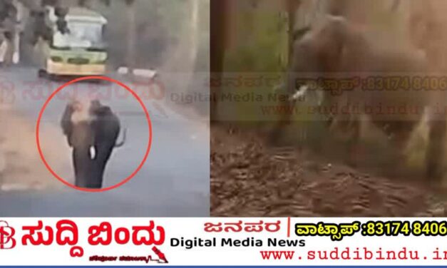 ಹಳಿಯಾಳ–ಯಲ್ಲಾಪುರ ರಸ್ತೆಯಲ್ಲಿ ಒಂಟಿ ಸಲಗ ಪ್ರತ್ಯಕ್ಷ : ಆನೆ‌‌ ಕಂಡು ಓಡಿದ ವಾಹನ ಸವಾರರು