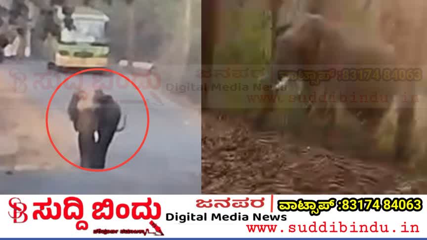 ಹಳಿಯಾಳ–ಯಲ್ಲಾಪುರ ರಸ್ತೆಯಲ್ಲಿ ಒಂಟಿ ಸಲಗ ಪ್ರತ್ಯಕ್ಷ : ಆನೆ‌‌ ಕಂಡು ಓಡಿದ ವಾಹನ ಸವಾರರು