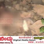 ಅರಣ್ಯದಲ್ಲಿ ಮಹಿಳೆಯ ಶವಕ್ಕೆ ತಲೆ ಇಲ್ಲ..! ಉತ್ತರ ಕನ್ನಡದಲ್ಲಿ ಭಯಾನಕ ಕೊಲೆ ಕೇಸ್