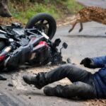 ಕಾಡು ಪ್ರಾಣಿಯನ್ನು ತಪ್ಪಿಸಲು ಹೋಗಿ ಬೈಕ್ ಪಲ್ಟಿ : ವಿಜಯ ಕರ್ನಾಟಕ ಪತ್ರಿಕೆಯ ಬಸಯ್ಯ ಗಂಭೀರ