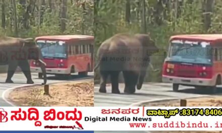 ದಾಂಡೇಲಿಯಲ್ಲಿ ರಸ್ತೆ ಮಧ್ಯೆ ನಿಂತ ಕಾಡಾನೆ… 10ನಿಮಿಷ ಬಸ್ಸಿಗೆ ಬ್ರೇಕ್ : ಪ್ರಯಾಣಿಕರಿಗೆ ಭೀತಿ
