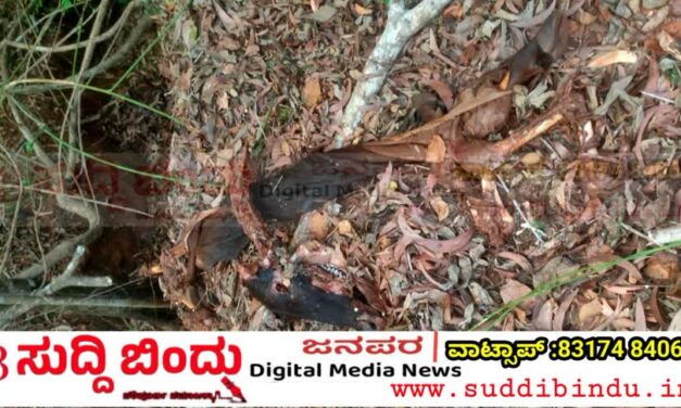 ಗೋವನ್ನು ಕೊಂದು ಮಾಂಸ ಕಳವು : ಹೊನ್ನಾವರದಲ್ಲಿ ಘಟನೆ