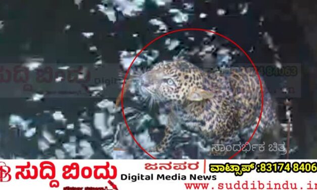 ಬಾವಿಗೆ ಬಿದ್ದ ಚಿರತೆ: ಹಳಗಾ ಗ್ರಾಮದಲ್ಲಿ ಆತಂಕ – ರಕ್ಷಣೆಗೆ ಅರಣ್ಯ ಇಲಾಖೆಯ ಹರಸಾಹಸ