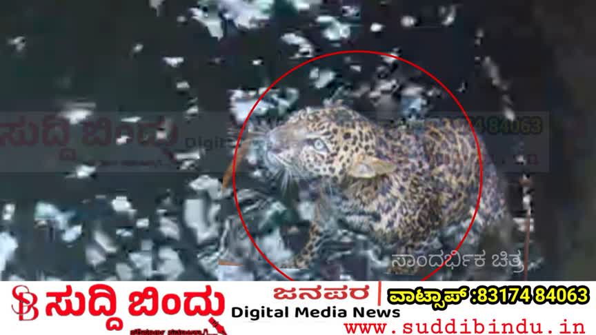 ಬಾವಿಗೆ ಬಿದ್ದ ಚಿರತೆ: ಹಳಗಾ ಗ್ರಾಮದಲ್ಲಿ ಆತಂಕ – ರಕ್ಷಣೆಗೆ ಅರಣ್ಯ ಇಲಾಖೆಯ ಹರಸಾಹಸ