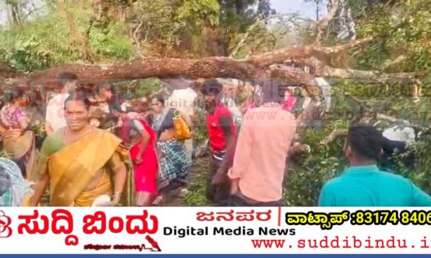 ಗಾಳಿ–ಮಳೆಗೆ ರಸ್ತೆಯ ಮಧ್ಯೆ ಉರುಳಿ ಬಿದ್ದ ಭಾರೀ ಗಾತ್ರದ ಮರ; ಒಂದು ಗಂಟೆ ವಾಹನ ಸಂಚಾರ ಸ್ಥಗಿತ