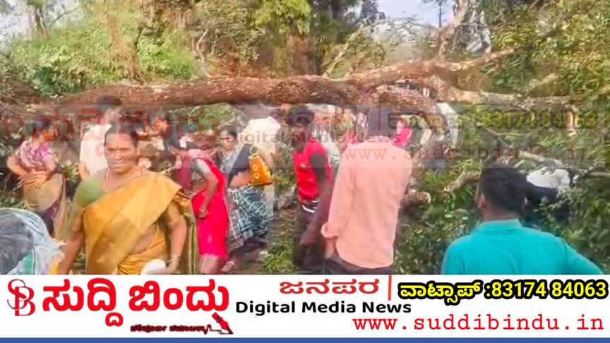ಗಾಳಿ–ಮಳೆಗೆ ರಸ್ತೆಯ ಮಧ್ಯೆ ಉರುಳಿ ಬಿದ್ದ ಭಾರೀ ಗಾತ್ರದ ಮರ; ಒಂದು ಗಂಟೆ ವಾಹನ ಸಂಚಾರ ಸ್ಥಗಿತ