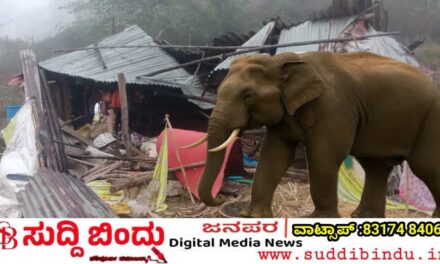 ದಾಂಡೇಲಿ ತಾಲ್ಲೂಕಿನ ಆಲೂರು ಗ್ರಾಮದಲ್ಲಿ ಕಾಡಾನೆ ದಾಳಿ : ದನದ ಕೊಟ್ಟಿಗೆ ಧ್ವಂಸ