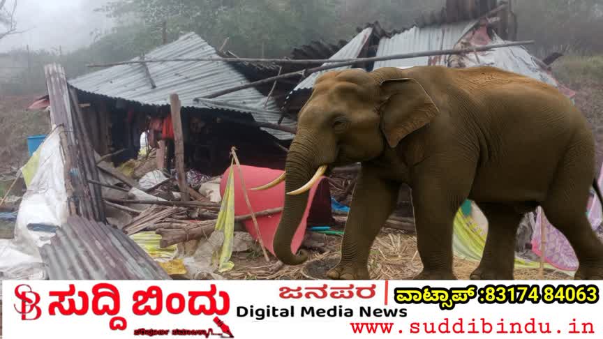 ದಾಂಡೇಲಿ ತಾಲ್ಲೂಕಿನ ಆಲೂರು ಗ್ರಾಮದಲ್ಲಿ ಕಾಡಾನೆ ದಾಳಿ : ದನದ ಕೊಟ್ಟಿಗೆ ಧ್ವಂಸ