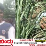 ಹೆಲ್ಮೆಟ್ ಇಲ್ಲ, ಲೈಸನ್ಸ್ ಇಲ್ಲ : ವೇಗದ ಬೈಕ್ ಅಪಘಾತಕ್ಕೆ 17 ವರ್ಷದ ವಿದ್ಯಾರ್ಥಿ ಬಲಿ