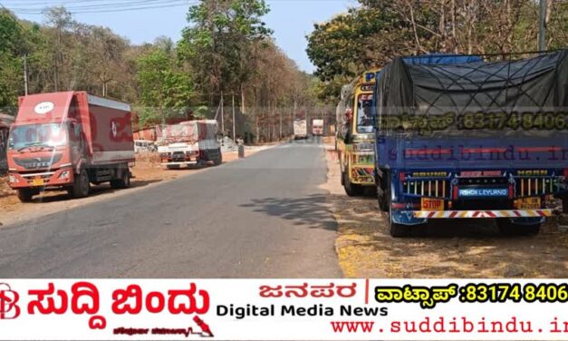 ಹೆದ್ದಾರಿ ಪಕ್ಕದಲ್ಲಿ ಸಾಲು ಸಾಲು ವಾಹನ ನಿಲುಗಡೆ ಹಾವಳಿ: ಅಪಘಾತ ಭೀತಿ