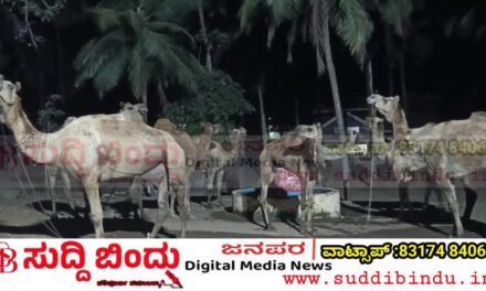 Bhatkal police/ಭಟ್ಕಳ ಪೊಲೀಸರ ಮಿಂಚಿನ ಕಾರ್ಯಾಚರಣೆ : 8 ಒಂಟೆ ಹಾಗೂ 2 ಎತ್ತುಗಳ ರಕ್ಷಣೆ; ಮೂವರು ವಶಕ್ಕೆ