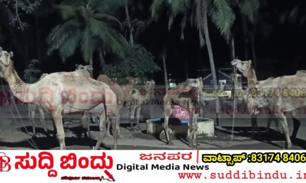Bhatkal police/ಭಟ್ಕಳ ಪೊಲೀಸರ ಮಿಂಚಿನ ಕಾರ್ಯಾಚರಣೆ : 8 ಒಂಟೆ ಹಾಗೂ 2 ಎತ್ತುಗಳ ರಕ್ಷಣೆ; ಮೂವರು ವಶಕ್ಕೆ